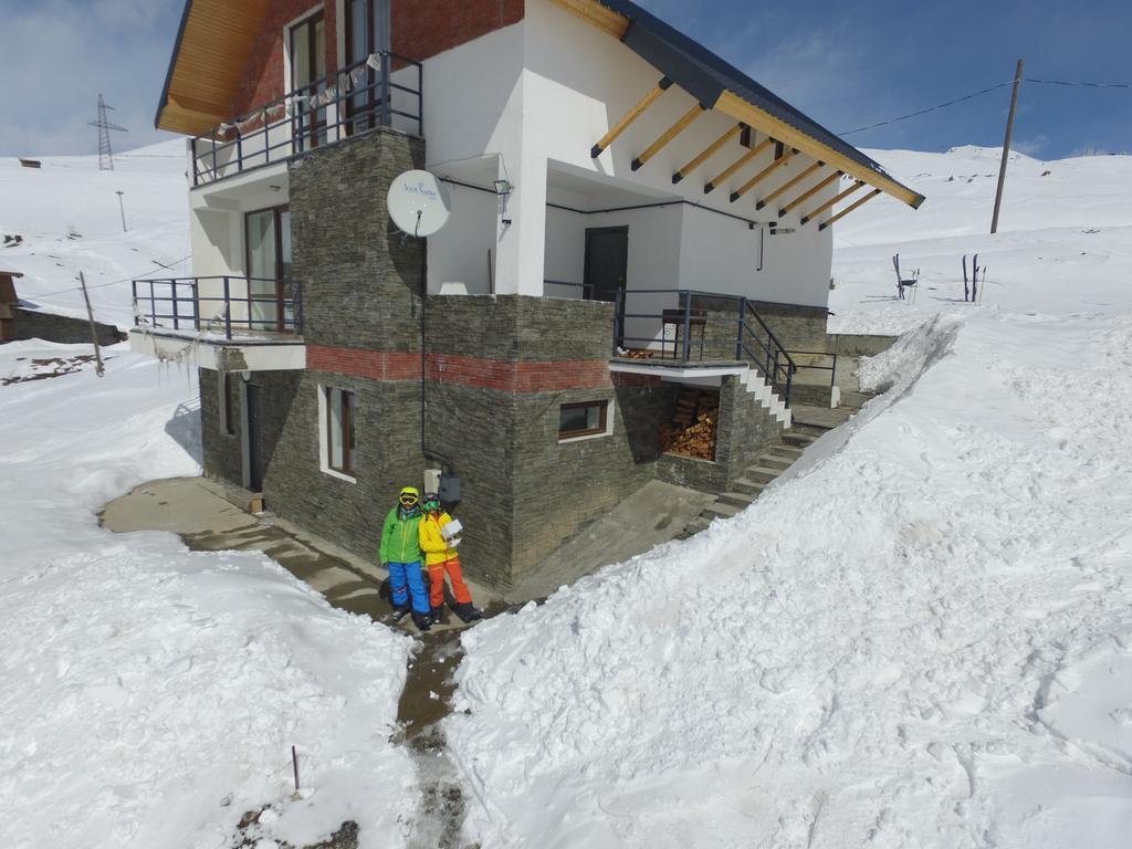 Mountain Cricket Chalets And Apartments Gudauri Dış mekan fotoğraf